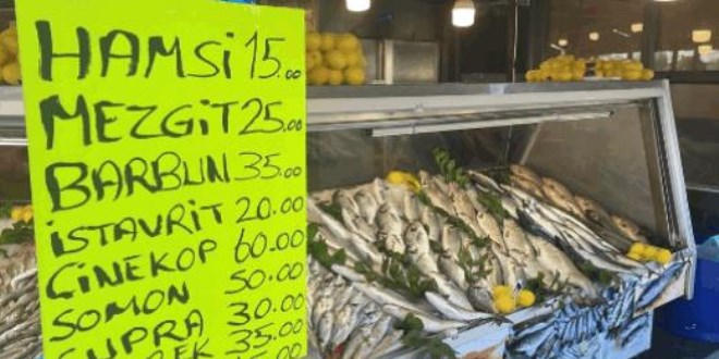 Palamut azaldı, hamsi bollaştı