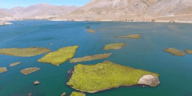 Yüzen Adalar'ın içindeki organik karbonların atmosferi koruduğunu tespit edildi