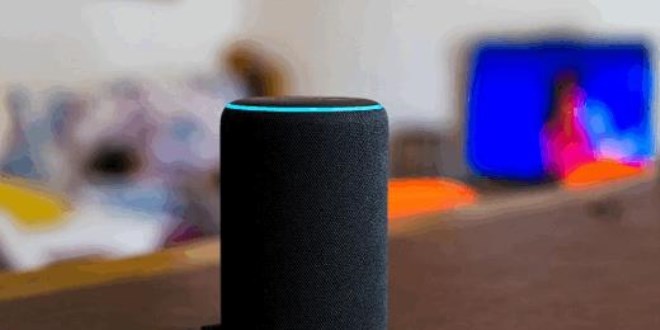 Alexa'dan 10 yaşındaki çocuğa şok öneri: Prize bozuk para değdir