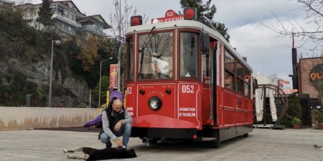 Sokak köpeği 'Kara Tren' tramvayın eskortu