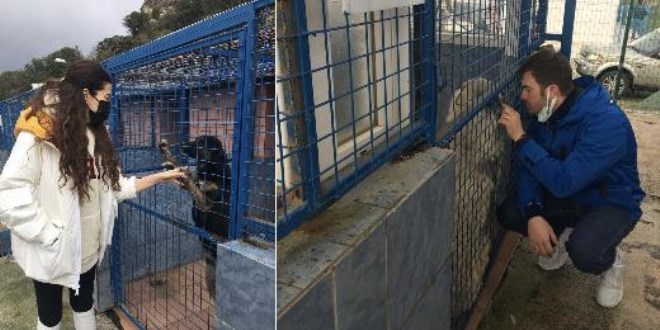 Kıvanç Tatlıtuğ ve eşinden barınak ziyareti
