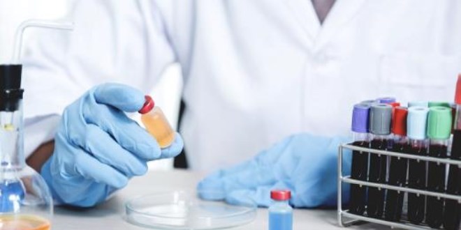 Bilim insanları: Uzun ömür bu iki protein seviyesini düşürmekten geçiyor