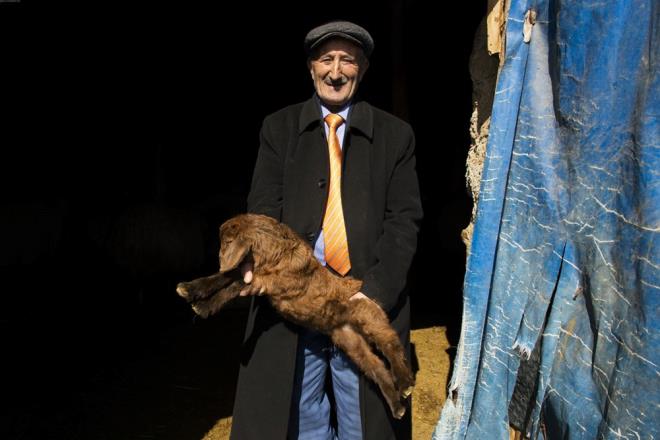 "ONU KRAVATSIZ GÖRMEDİK"    İlçe sakinlerinden Murat Tunç da "Bedir amca çok renkli ve güzel bir insan. Onu tüm memleket çok seviyor. Tarlada, koyunların içinde, çarşıda onu hep kravatlı görüyoruz. Onu kravatsız görmedik. Güler yüzüyle etrafa pozitif enerji veriyor. Böyle insanlara ihtiyacımız var" ifadelerini kullandı.