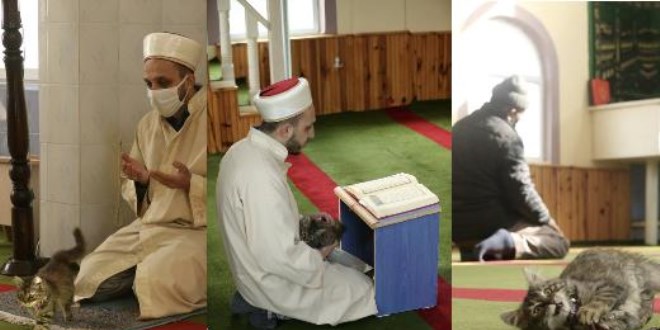 Doğa ve hayvan dostu imam duyarlılığıyla örnek oluyor