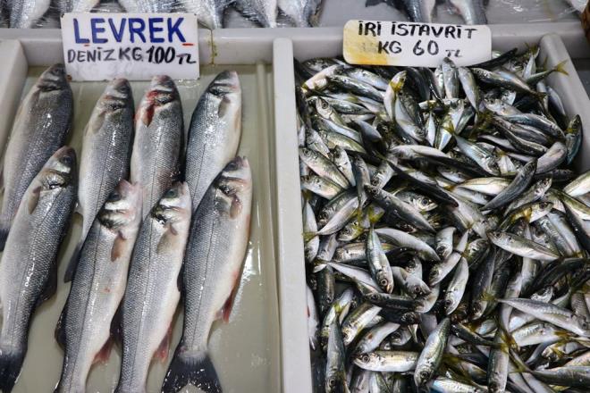 Balıkçı Hasan Erol da bu yıl balıkçılar için sezonun durgun geçtiğini belirterek, "Havaların soğuması, poyraz ve denize açılan teknelerin az olması fiyatları etkiliyor. Mecburen maliyetler artıyor. Maliyetler artınca durum tezgahlara yansıyor. İnşallah havaların düzelmesiyle balık artarsa fiyatlarda bir düşüş olur" diye konuştu.