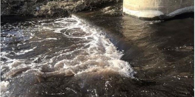 Kesilen cezalara rağmen uslanmadılar: Ergene Nehri siyah akmaya devam ediyor