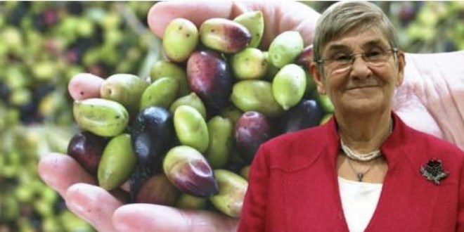 Zeytin çekirdeklerini sakın çöpe atmayın!