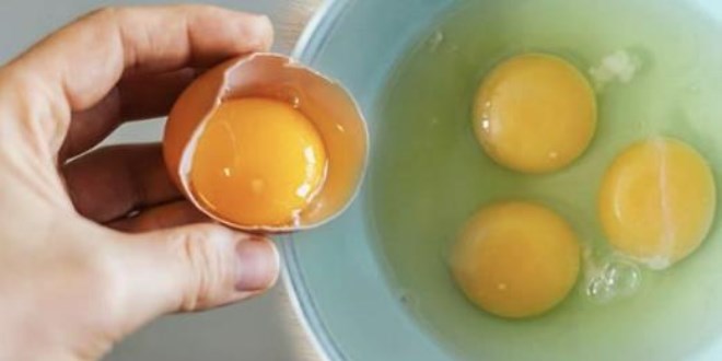 Yumurtanın içindeki beyaz kısım ne işe yarıyor?