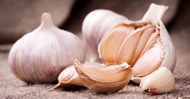 SARIMSAK    Güçlü bir antioksidan olan sarımsakta karaciğeri yenileyen etkili besinlerden biridir. Sarımsak, karaciğerin enzimlerini doğru çalıştırarak toksinlerin vücutan idrar ya da dışkılama ile atılmasına yardım eder. Uzmanlar haftada bir kez kahvaltıdan önce bir diş çiğ sarımsak çiğnemenin etkili olacağını belirtiyor.