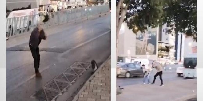 Kadıköy'de karga saldırısı