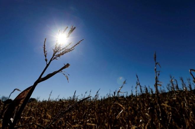 İTALYA    İtalya'da yüksek sıcaklıklar nedeniyle 4 kent için alarm verildi.    Hafta sonu için yapılan meteorolojik tahminlerde Afrika kaynaklı sıcak hava dalgasının etkili olacağı belirtilirken, İtalya'nın merkezinde ve kuzeyinde yer alan bazı kentler için uyarı verildi.