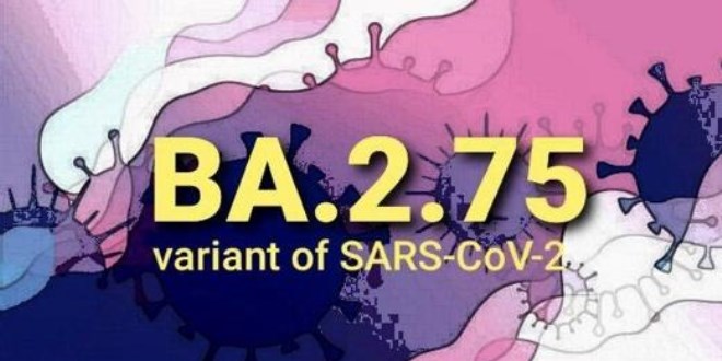 Bilim insanlarını korkutan yeni Omicron varyantı: BA.2.75