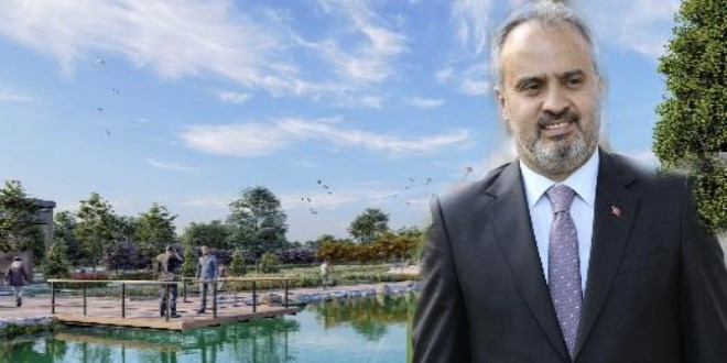 Gökdere yeşile bezeniyor