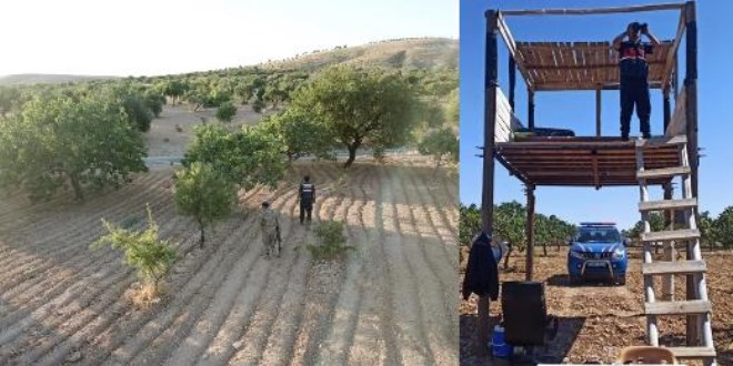 Gaziantep'te komandolar 'yeşil altın' nöbetinde