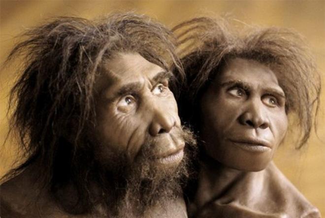 ZEZVA VE MZİA HAKKINDA    Homo georgicus  (Gürcü insanı), Dmanisi?de, 2002 yılında tanımlanan bir hominin türü olarak kabul ediliyor.Homo ergaster ile Homo erectus arasındaki insan türü olarak adlandırılıyor.     Dmanisi'de bulunan homo georgicus fosillerinn yaşları 1.85-1.77 milyon yıl arasında değişirken bulunan iki kafatası Zezva ve Mzia olarak adlandırıldı.