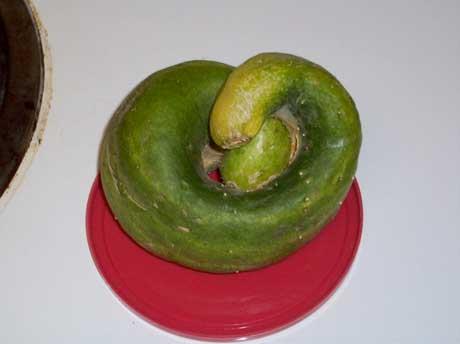 <P>Yok böyle salatalık</P>  <P>Manava ya da süper markete gider, sebze ve meyve satın alırız. Kimi zaman domates, soğan, biber; kimi zaman da elma, armut ve elbette salatalık... Açık arttırmaya düşen ve resimde gördüğünüz bu ürün, aslında bir salatalıktan başka bir şey değil. Bu salatalığı benzerlerinden ayıran özelliği ise şeklinin bir yılana benziyor olması.</P>