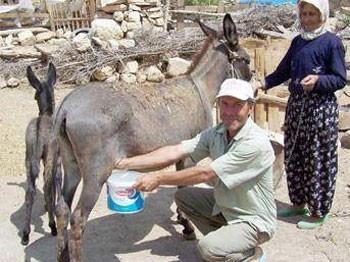 Peki anne sütüne en yakın süt olarak bilinen eşek sütünün eski zamanlarda hasta çocuklara ve veremli hastalara şifa olarak içirildiğini hiç duydunuz mu? Deve sütü de vitamin ve protein deposu olarak biliniyor. Zira deve sütü inek sütünden üç kat daha fazla C vitamini ve 10 kat fazla demir içerir, B vitamini ve magnezyum açısından da son derece zengin. Üstelik uzmanlar, ilerleyen yıllarda eşek sütü ticaretinde ciddi bir pazar oluşacağını düşünüyor.