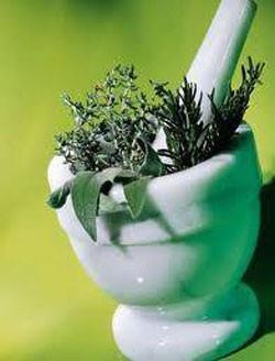 Doğal beslenme ve doğal tedavi adına neredeyse yapmadığımız şey kalmayacak. Önce otlar girdi hayatımıza ardından da hayvanlar. Evet sadece bitkisel ürünler değil hayvansal ürünler de doğal tedavi yöntemleriyle baş başa. Otlarla hayatımıza giren sağlık reçeteleri hayvanlarla da devam ediyor.