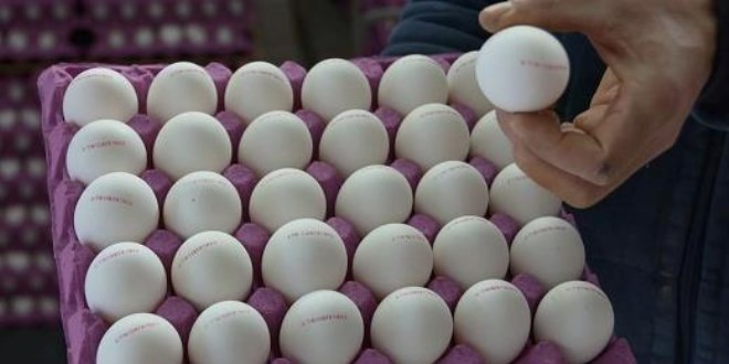 Yumurta üstündeki rakamlar ne anlama geliyor?