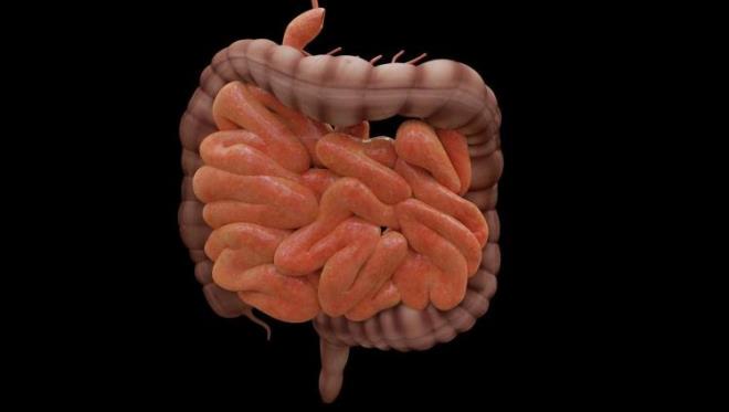 "BAKTERİLERİN İÇİNDE DOST OLANDA VAR OLMAYANDA"    Vücuttaki bakterilerin üzerinde duran Canan Karatay, Bakterileri dost olan ve dost olmayan olarak ikiye ayırdı. Karatay, "Dost bakteriler reflü, gastrit, ishal ve kabızlık gibi hastalıkların önüne geçiyor. Dost bakteriler azalınca hastalık yapan bakteriler çoğalıyor ve bu rahatsızlarda yaşanan şikayetler artıyor" şeklinde konuştu.