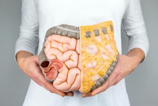 SAĞLIĞIN TEMELİ İKİNCİ BEYİN OLAN BAĞIRSAKTAN GEÇİYOR    Sağlığın temelini bağırsak olarak ele alan Karatay "Bağırsaklarımızdaki dost hücreler seratonin ve depomin denilen sinir hücreleri üretiyor. Bunların yüzde 90?ı bağırsaklarımızda ürüyor" ifadelerini kullandı.