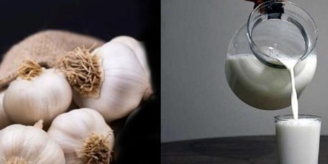 İçenlere doğal antibiyotik etkisi veriyor