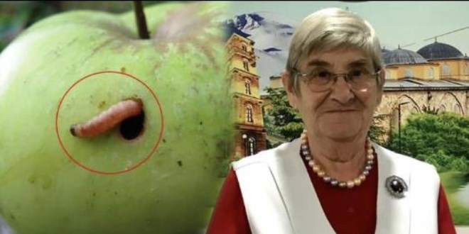 Ezber bozan kurtlu elma önerisi!