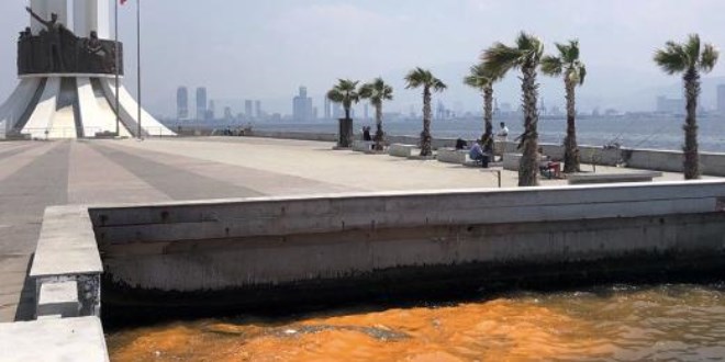 İzmir Körfezi'nde tedirgin eden 'kırmızı- turuncu renk' uyarısı
