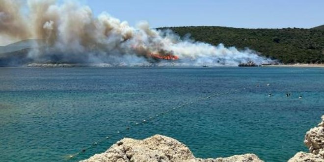 İzmir, Muğla ve Kahramanmaraş'ta orman yangınları