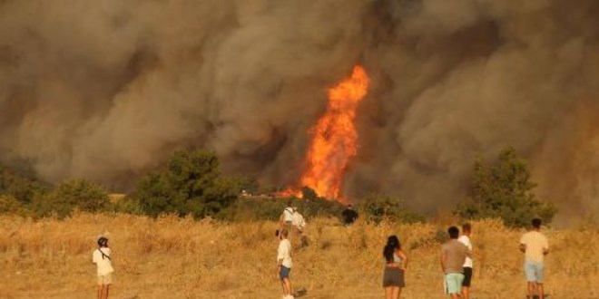 Çanakkale'de orman yangını
