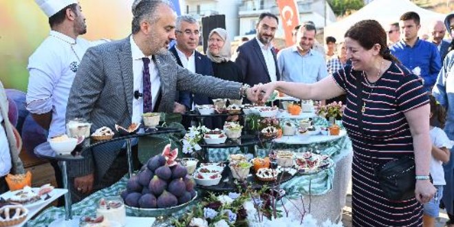 Bursa'nın 'Siyah incisi'nde hasat başladı!