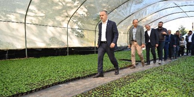 Bursa'nın çiçekleri, dağ bölgesinde açıyor