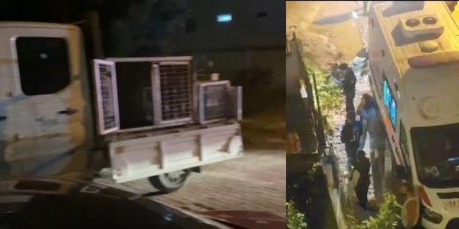 Beylikdüzü'nde pitbull 2 çocuğa saldırdı