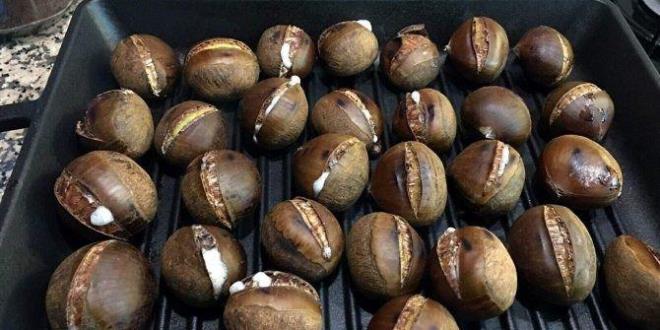 Kış mevsimi gelince yanmaya başlayan sobaların vazgeçilmezi kestane  B1, B2 ve C vitaminleri içerir.  Lif, mineral, vitamin ve antioksidan madde deposu olan kestane besleyici özelliği bakımından sürekli tüketilmektedir.  Bazı satıcılar piyasada daha ucuza satılan Çin kestanesine karşı düşük kaliteli olduğu gerekçesiyle rağbet gösterilmemesi konusunda vatandaşı uyarıyor.