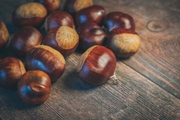 Bir diğer belirgin özelliklerden biri çin kestanlerinin mazot gibi kokmasıdır. Kestaneleri pişirdiğinizde hem köpürüyor hem de mazot gibi kokuyorsa uzmanlar kestanlerinin yenmemesi gerektiğine konusunda uyarıyor.