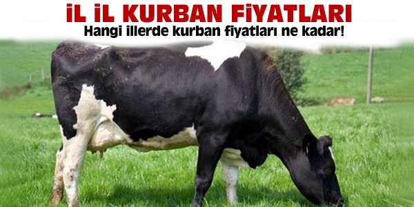 İl il kurban fiyatları