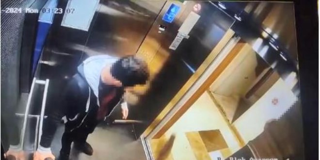 Kediyi tekmeleyerek öldüren İbrahim Keloğlan yeniden yargılanacak