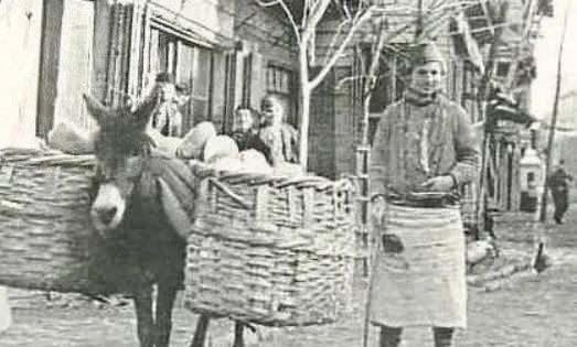 EŞEKLİ ZERZAVATÇILIK