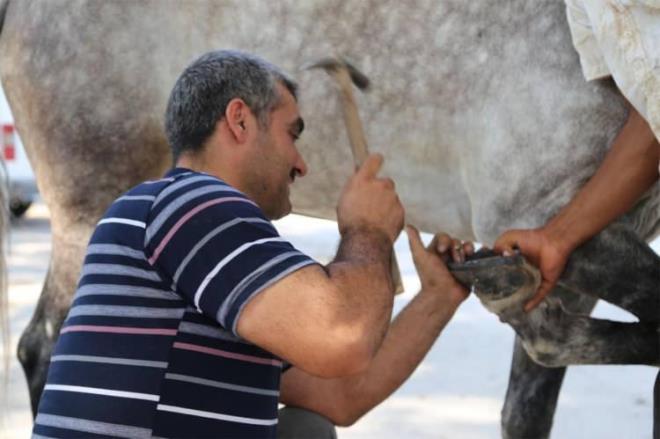 NALBANTLIK    Bir dönemin en popüler mesleklerinden biri olan nalbantlığa olan talebin düşmesiyle birlikte giderek azaldı.