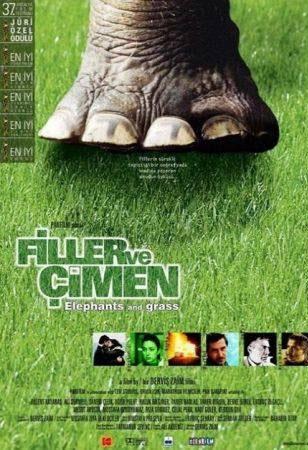 Filler ve Çimen (Derviş Zaim)