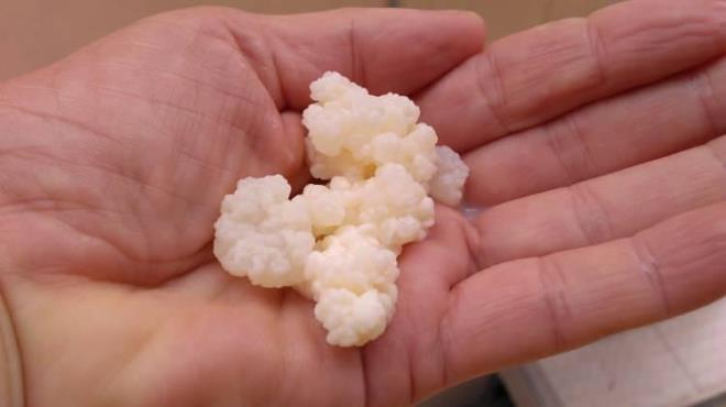 Aynı zamanda tokluk hissi sağlar, probiyotik bir besin olduğu için sindirim sistemi için kefir tüketilmesini öneririm" açıklamasında bulundu.