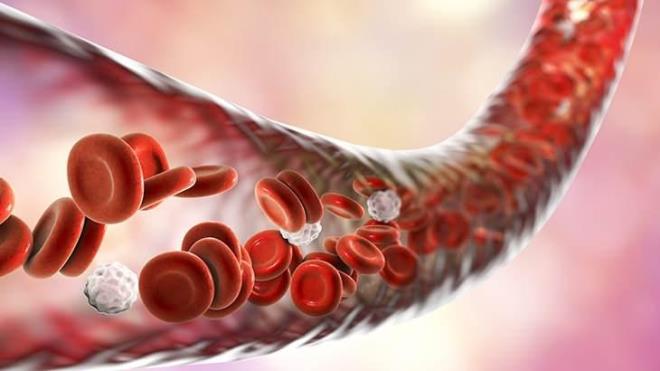 ŞAHDAMARI PLAKLARININ SEBEBİ NE    Temel sebep damar sertliği/aterosklerozdur. Normalde damarlarımız eğer sağlıklı iseler son derece esnektir ve adeta cilalanmış gibi pürüzsüz bir iç duvara sahiptir. Ne var ki bir taraftan ilerleyen yaşlar, yaşlanmanın getirdiği doğal yıpranmalar, diğer taraftan da farklı tıbbi sorunlar, organize çeteler ve bu sorunlara/çetelere yönelik dikkatsizliklerimiz nedeniyle şah damarları esnekliğini kaybedip sertleşir, hasar görür. Duvarlarında plaklar/pıhtılar oluşmaya başlar.