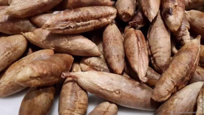 HURMA ÇEKİRDEĞİNİN FAYDALARI NELERDİR?    Çekirdekleri kullanmak için öncelikle iyice yıkayın. Daha sonra fırın ya da güneşte kararana kadar bekletin. Daha sonra bıçakları güçlü bir öğütücüde toz haline getirin. Ya da eski yöntemle havanda dövün.