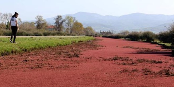 Kızılırmak
