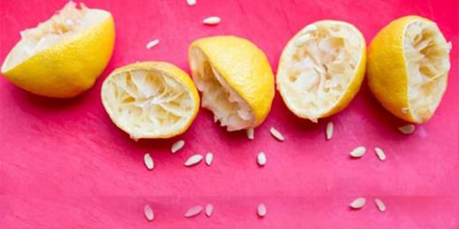 Limon çekirdeklerini sakın çöpe atmayın!