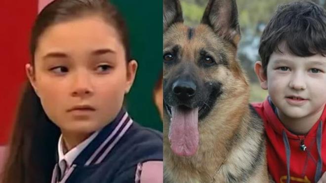 Artık ekranda olmayan bu çocuklardan kimi bilim insanı oldu kimi DJ... Bir dönem popüler olup şimdilerde sırra kadem basan çocuk oyuncuları derledik!