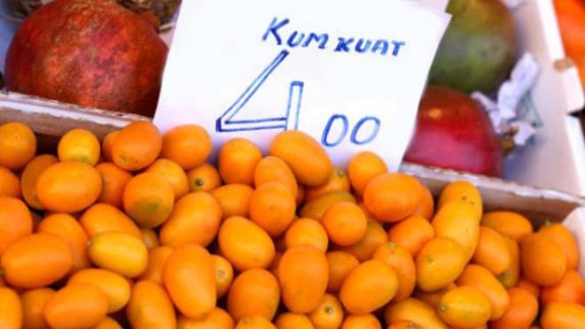 GÖZ SAĞLIĞINA BİREBİR<p>    Kumkuat, yüksek A vitamini içeriğiyle göz sağlığını destekler. Düzenli A vitamini alımı, yani kamkat tüketimi, katarakt riskini azaltarak görme kaybının önlenmesine yardımcı olur.