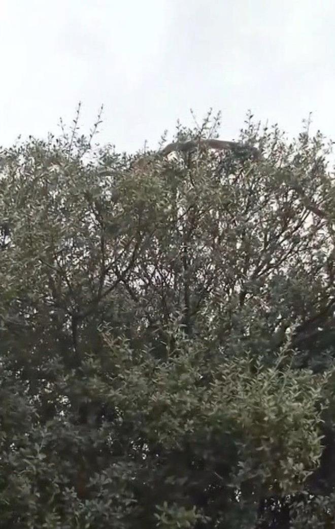 İlçede tarımla uğraşan Günay Kılıç (48), yeğeni Savaş Kılıç (28) ilçe Hacıkayyum bölgesindeki tarlasına gübre atmaya gitti. İkili, tarladaki iş bittikten sonra araçla ilçeye dönüşe geçti.