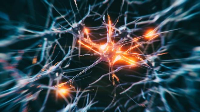Tau proteini, amiloid adlı başka bir proteinle birlikte birikerek plaklar ve düğümler oluşturabilir. Bu birikintiler, Alzheimer?ın en belirgin semptomlarının ardındaki neden olarak kabul edilir.    McGill Üniversitesi'nden bir ekip, Alzheimer hastası bir babaya sahip kişilerin beyindeki tau proteininin yayılmasına karşı daha hassas olduklarını açıkladı. Ancak bazı uzmanlar, bu konuda net bir kanıya varılabilmesi için daha fazla araştırmaya ihtiyaç duyulduğunun altını çiziyor.