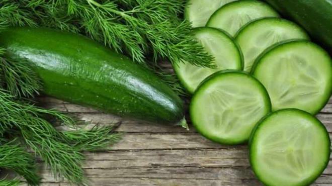 Zengin antioksidan içeriği ile günlü duyulan K vitamini B ve C vitamini sağlayan salatalık aynı zaman az kaloriye sahip sebzeler arasında yer alıyor.
